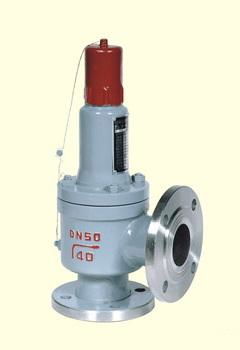 液化石油氣安全閥,安全回流閥,精品閥門,泰普克