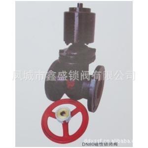 【廠家專業(yè)生產DN80磁性鎖閉閥 優(yōu)質鎖閉閥】價格_廠家_圖片 -