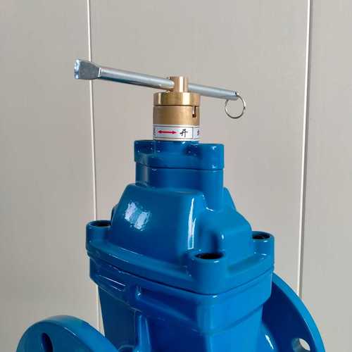 磁性鎖閉閘閥 球磨鑄鐵加密防盜閘閥法蘭軟密封鎖閉閥