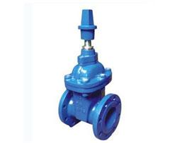 軟密封鎖閉式彈性座封閘閥精良產(chǎn)品誠信服務,軟密封鎖閉式彈性座封閘閥精良產(chǎn)品誠信服務生產(chǎn)廠家,軟密封鎖閉式彈性座封閘閥精良產(chǎn)品誠信服務價格