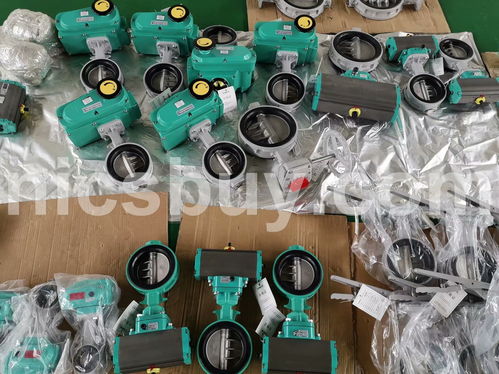 日本巴蝶(Tomoe) 700G 4i 300A電動(dòng)蝶閥 工廠現(xiàn)貨采購與總代理介紹